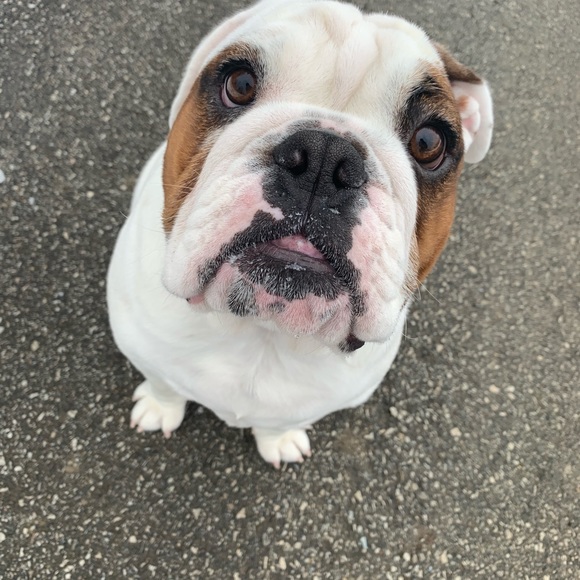 Meet your Posher, Mari - Picture 1 of 1